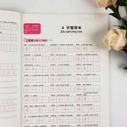 HSK Level 5 Chinese Character Writing Practice Workbook